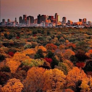 Meet your Posher, Peggy